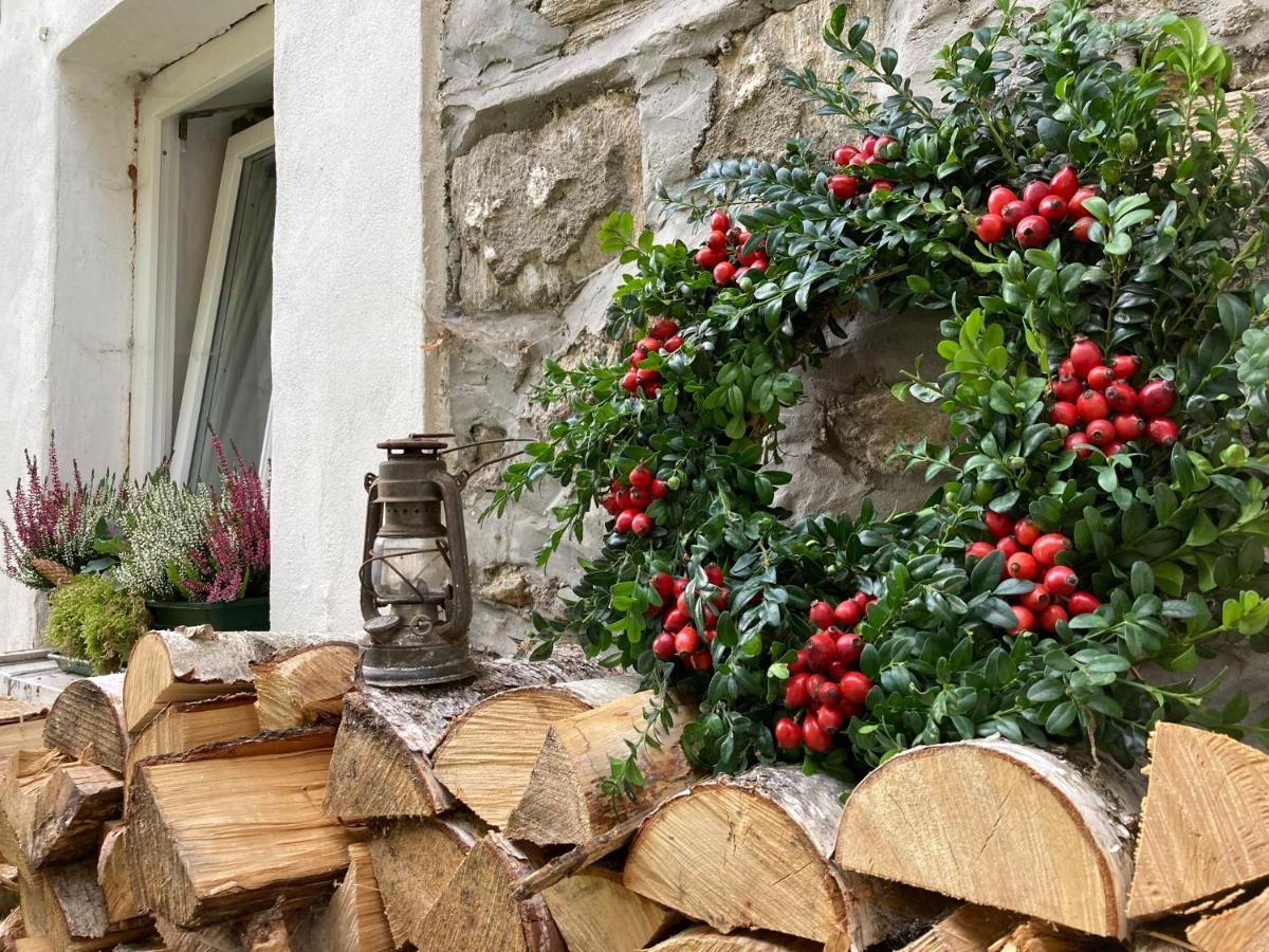 Hotel Vila Adélka - útulná chalupa v Krkonoších Horní Maršov Exterior foto